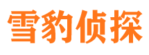 阳泉外遇出轨调查取证